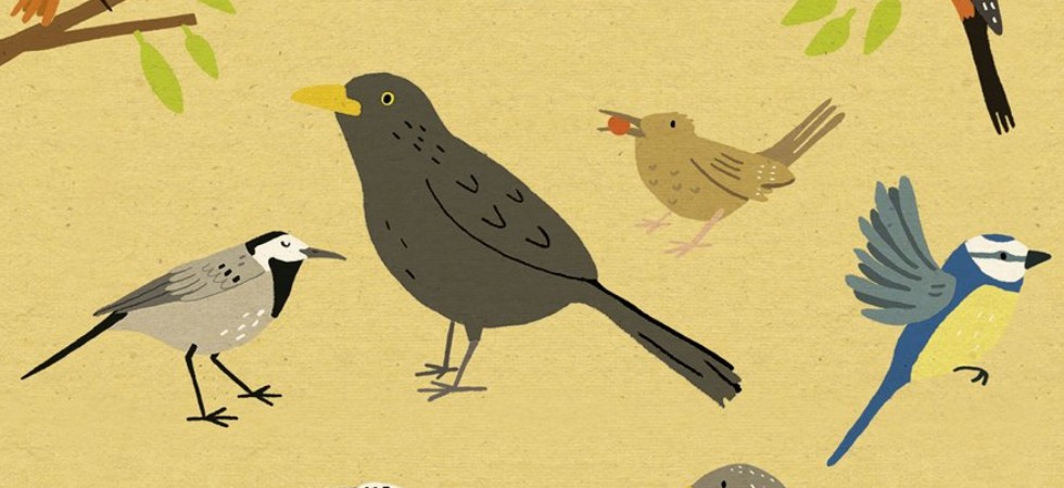 Ilustración de Mi pequeño libro de los pájaros