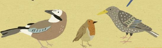 Ilustración de Mi pequeño libro de los pájaros