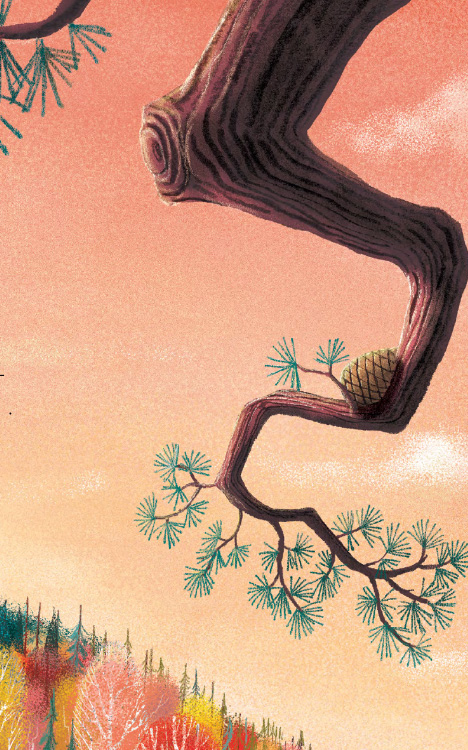 Ilustración de Dos ardillas y una piña