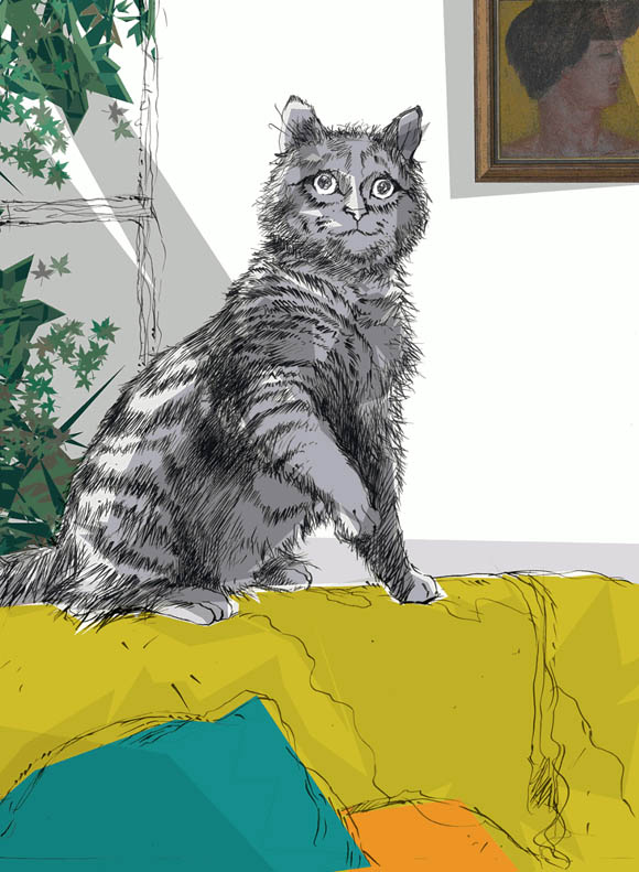Ilustración de Gato y los nuevos inquilinos
