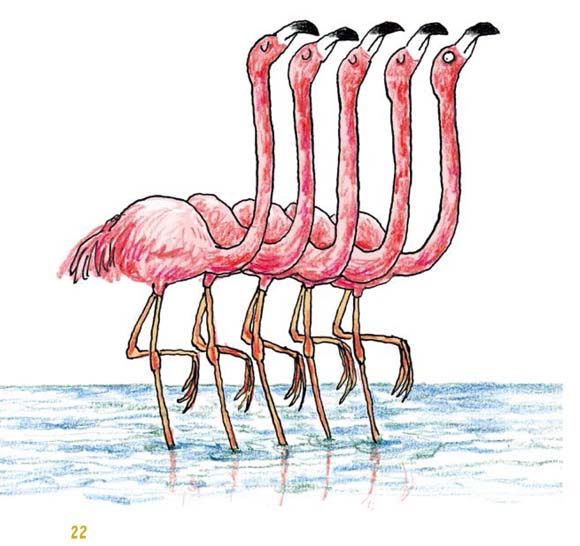 Ilustración de La vida amorosa de los animales