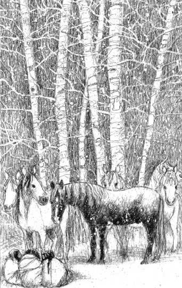 Ilustración de Caballos en la nieve