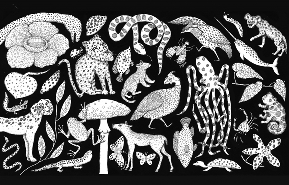 Ilustración de Las mil y una formas de la naturaleza
