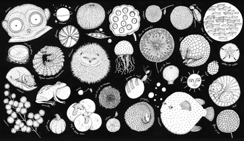 Ilustración de Las mil y una formas de la naturaleza