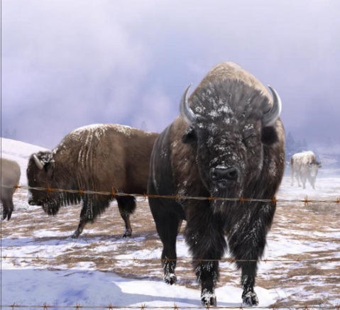 Ilustración de Viajeros. Animales extraordinarios