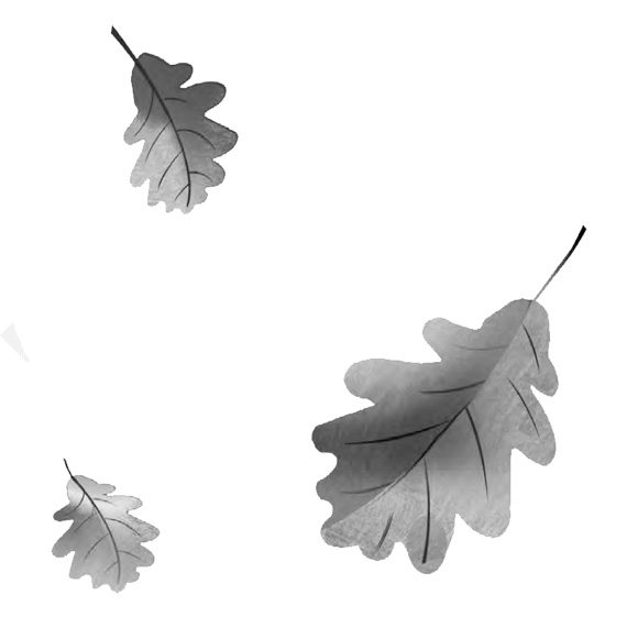 Ilustración de El árbol de los deseos