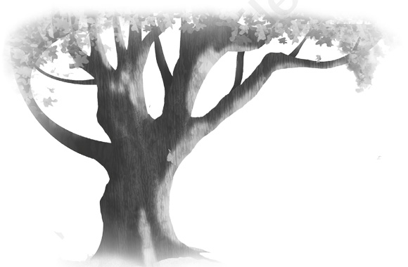 Ilustración de El árbol de los deseos