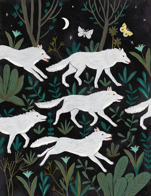 Ilustración de El origen de las especies