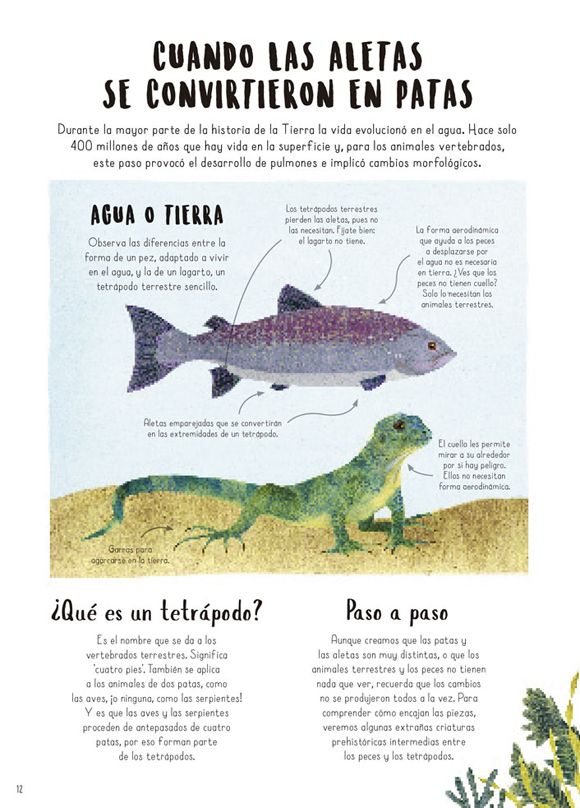 Ilustración de Cuando las ballenas caminaban