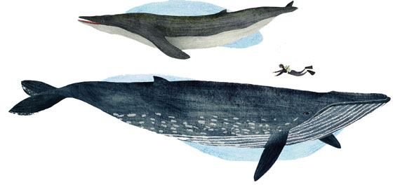 Ilustración de Cuando las ballenas caminaban