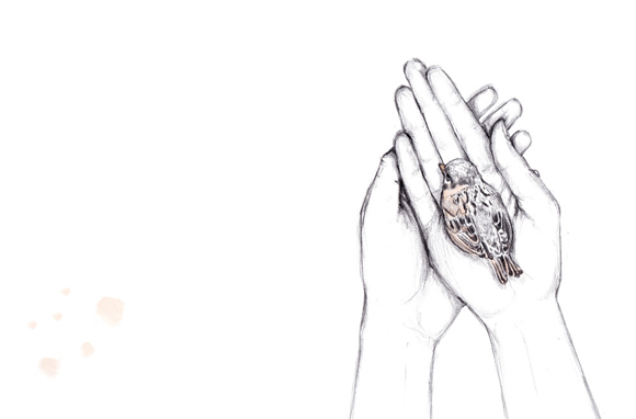 Ilustración de 9 lunas (poemas para esperarte)