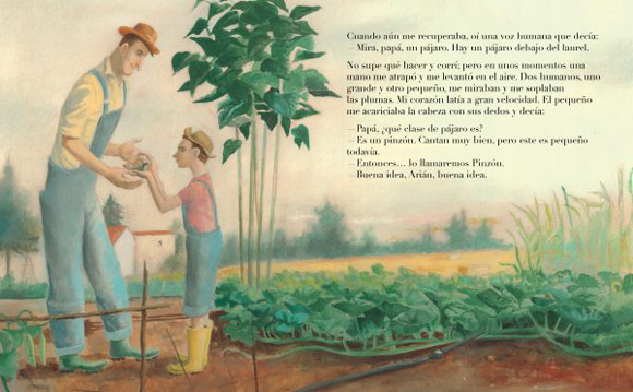 Ilustración de Pinzón