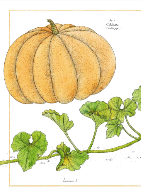 Ilustración de Inventario ilustrado de frutas y verduras
