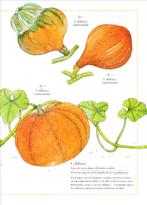 Ilustración de Inventario ilustrado de frutas y verduras