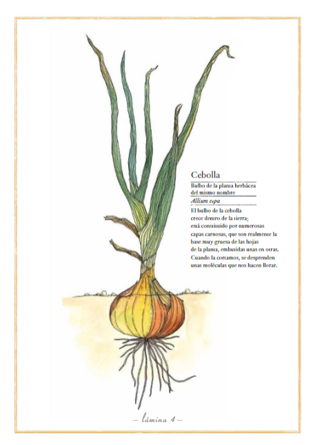 Ilustración de Inventario ilustrado de frutas y verduras