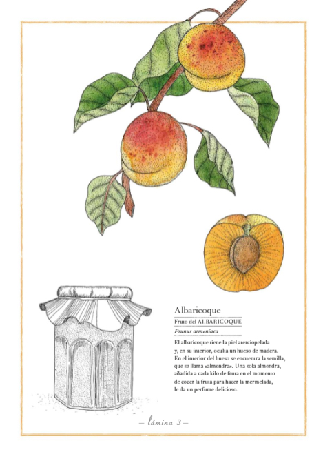 Ilustración de Inventario ilustrado de frutas y verduras