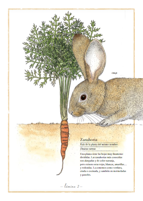 Ilustración de Inventario ilustrado de frutas y verduras