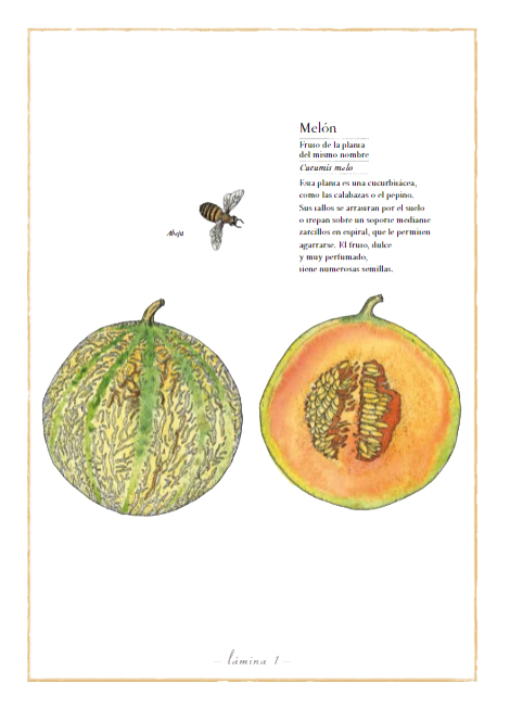 Ilustración de Inventario ilustrado de frutas y verduras