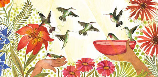 Ilustración de Colibrí