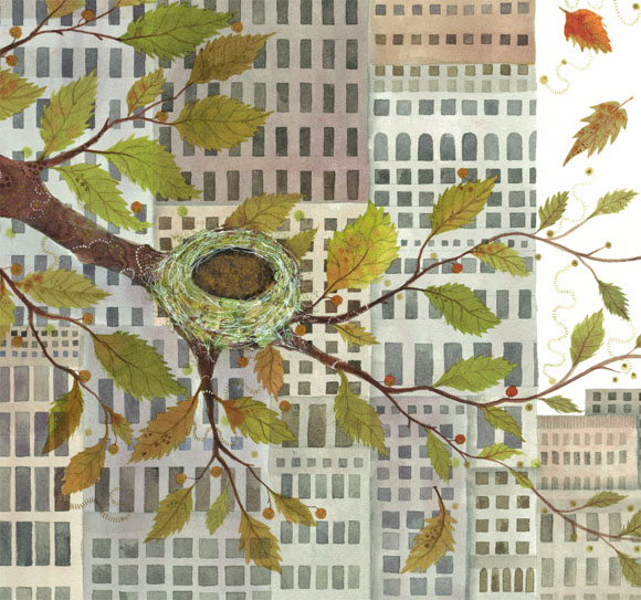 Ilustración de Colibrí
