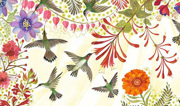 Ilustración de Colibrí
