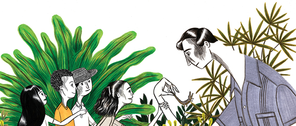 Ilustración de La Caimana