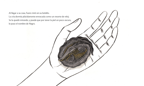 Ilustración de La Caimana