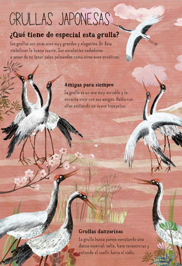 Ilustración de El Gran Libro de las Aves