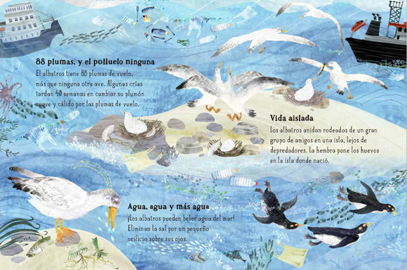 Ilustración de El Gran Libro de las Aves