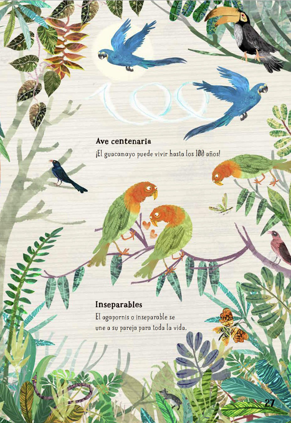Ilustración de El Gran Libro de las Aves