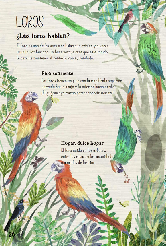 Ilustración de El Gran Libro de las Aves