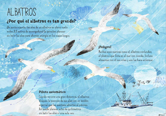 Ilustración de El Gran Libro de las Aves