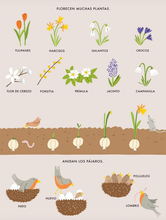 Ilustración de Las Cuatro Estaciones