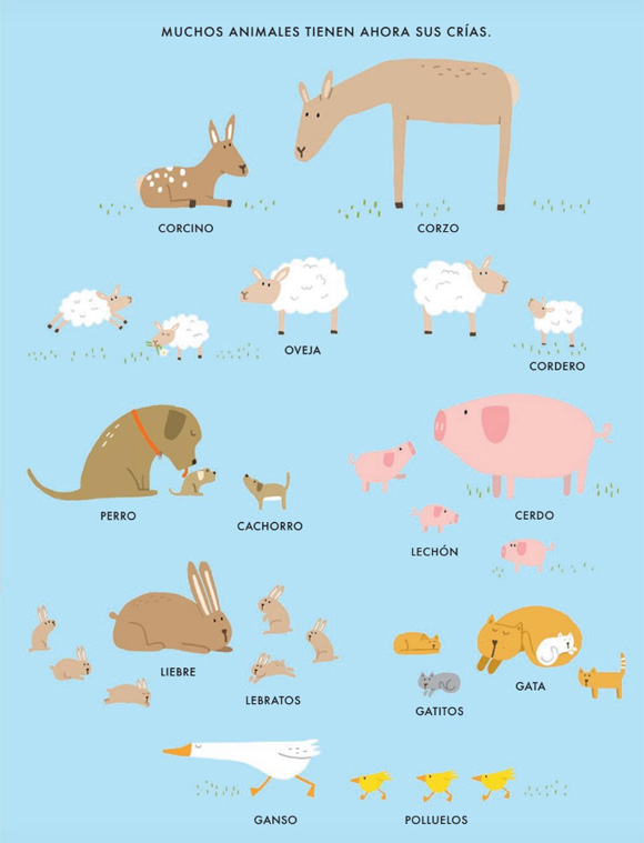 Ilustración de Las Cuatro Estaciones