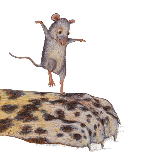 Ilustración de Rigo y Roque