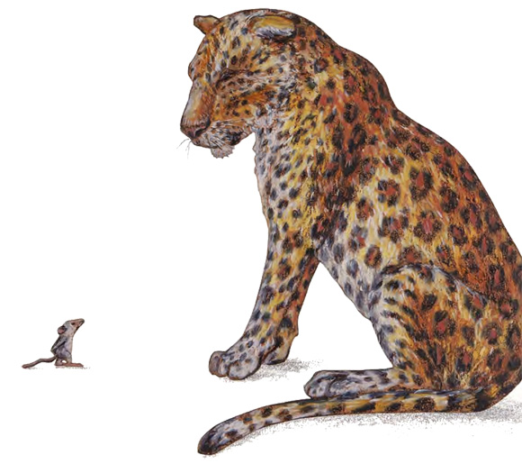 Ilustración de Rigo y Roque