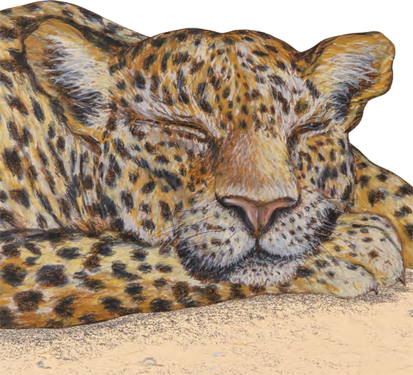 Ilustración de Rigo y Roque