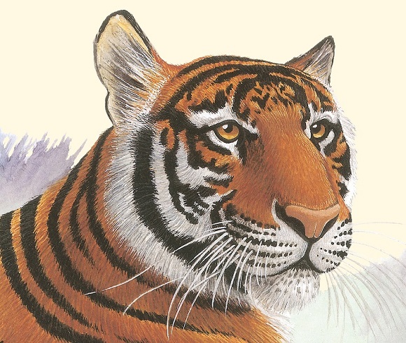 Ilustración de El mundo de los animales