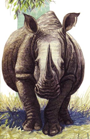 Ilustración de El mundo de los animales