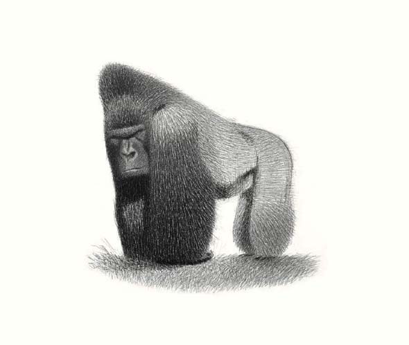 Ilustración de Fieras encantadoras