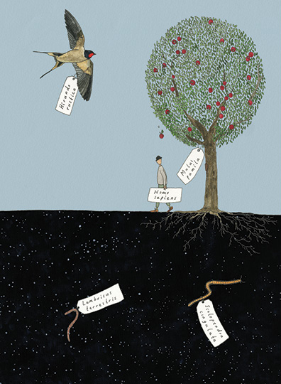 Ilustración de Comernos el sol