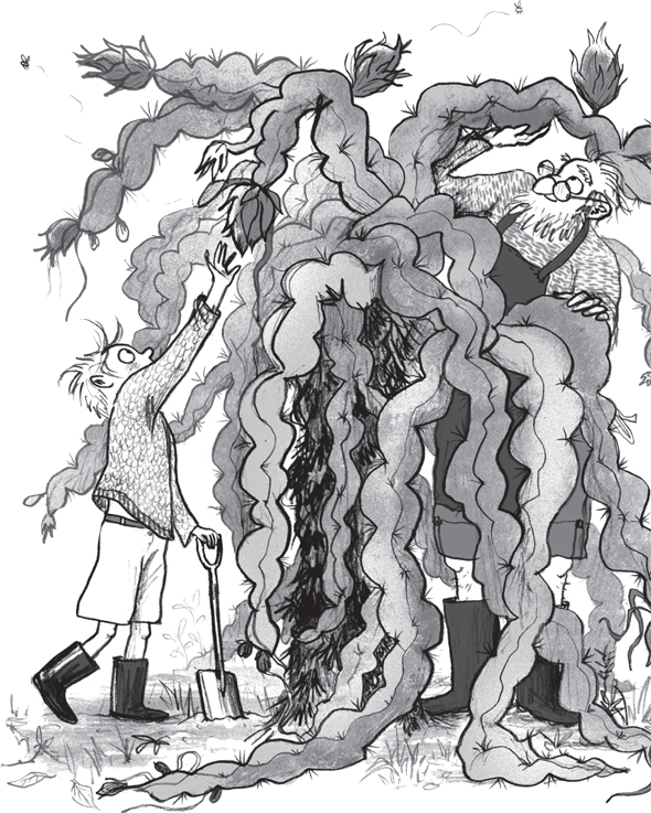 Ilustración de El niño que criaba dragones