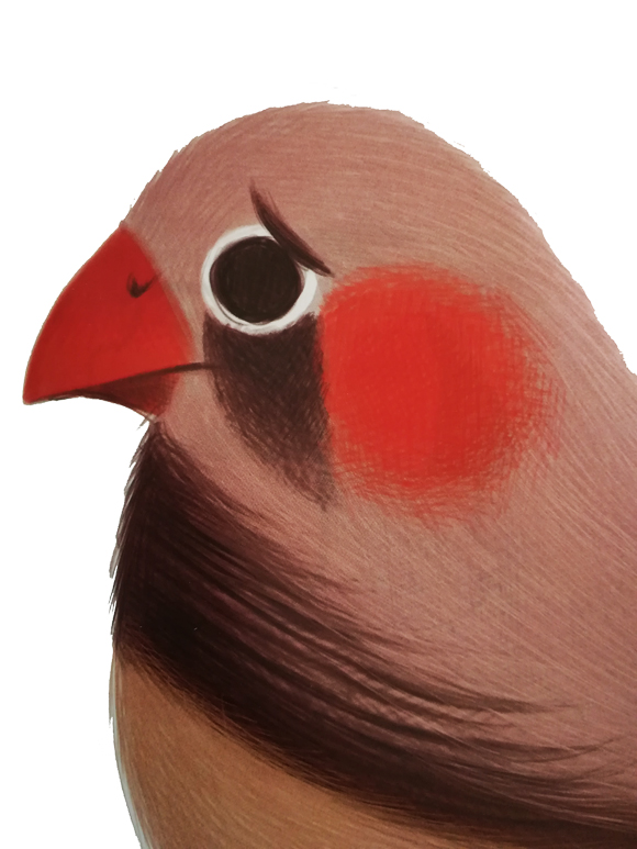 Ilustración de El gran viaje de... Pepito Pajarito