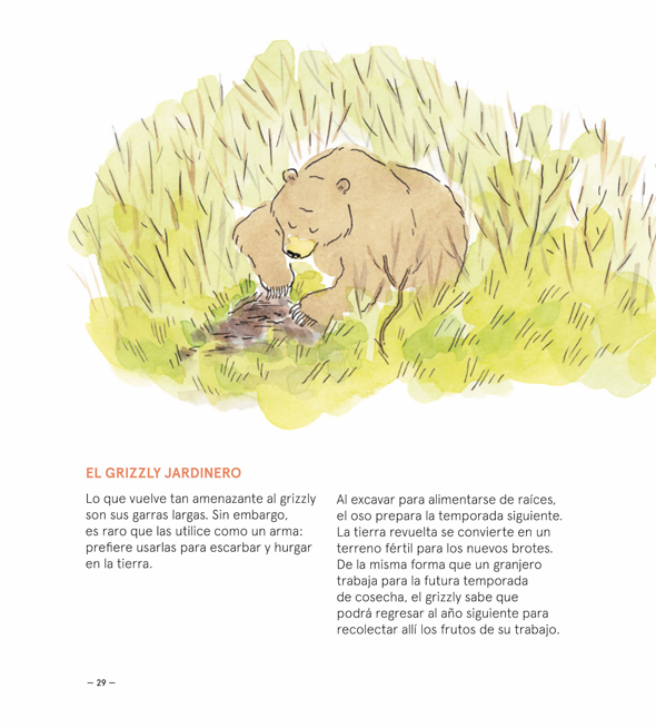 Ilustración de OSOS