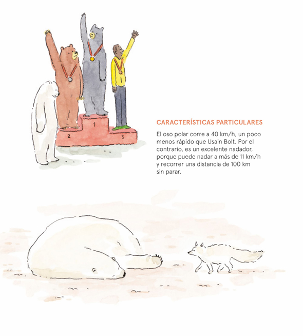 Ilustración de OSOS