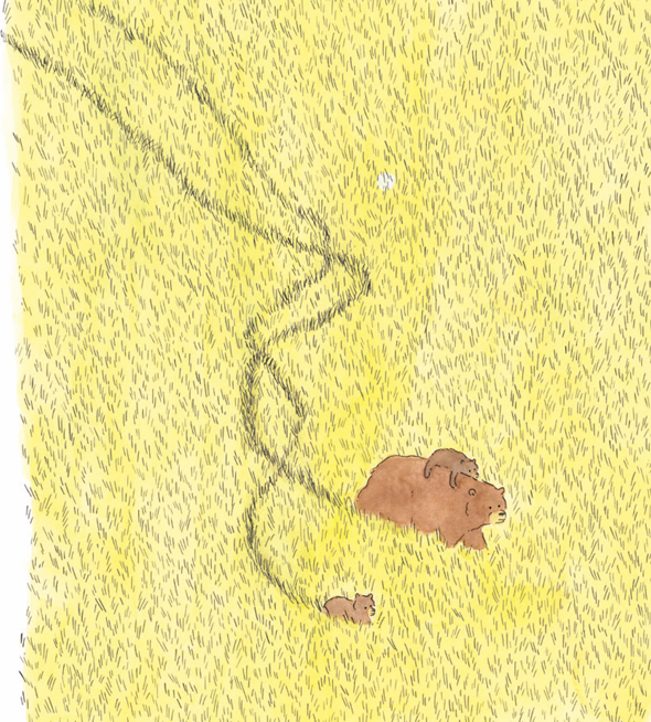 Ilustración de OSOS