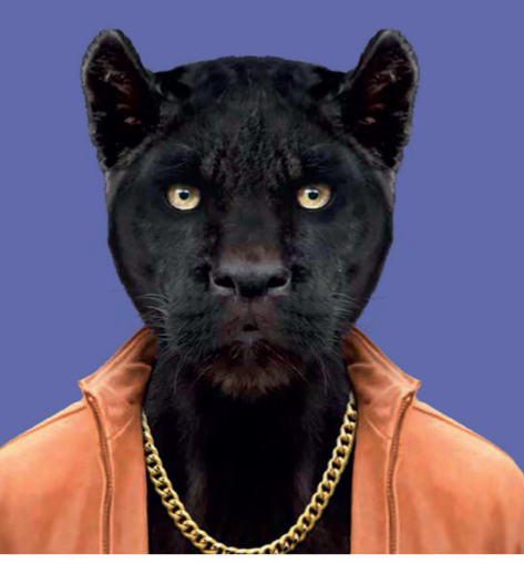 Ilustración de Retratos animales