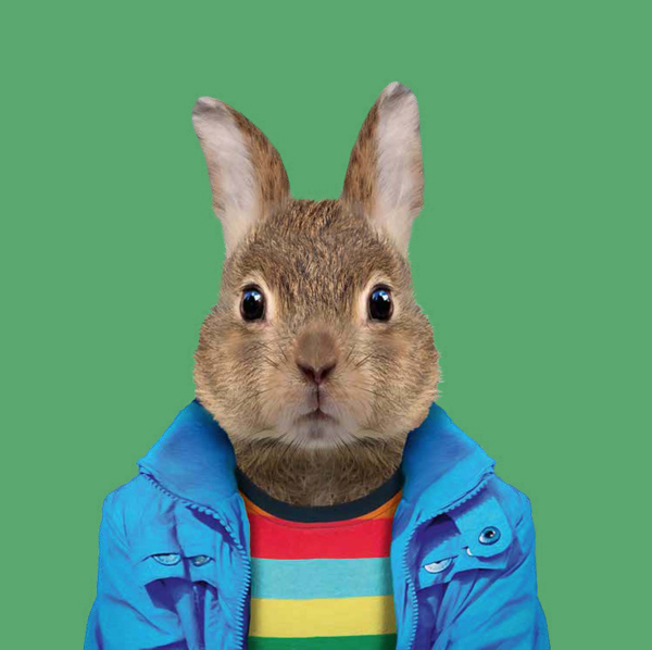 Ilustración de Retratos animales