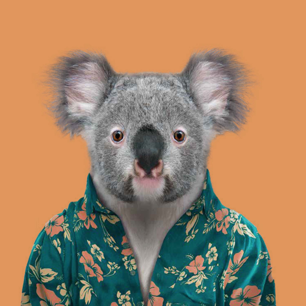Ilustración de Retratos animales