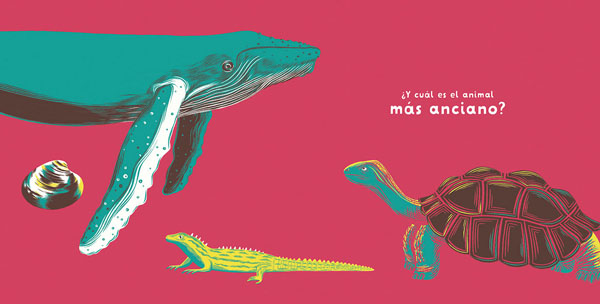 Ilustración de ZOOILÓGICO